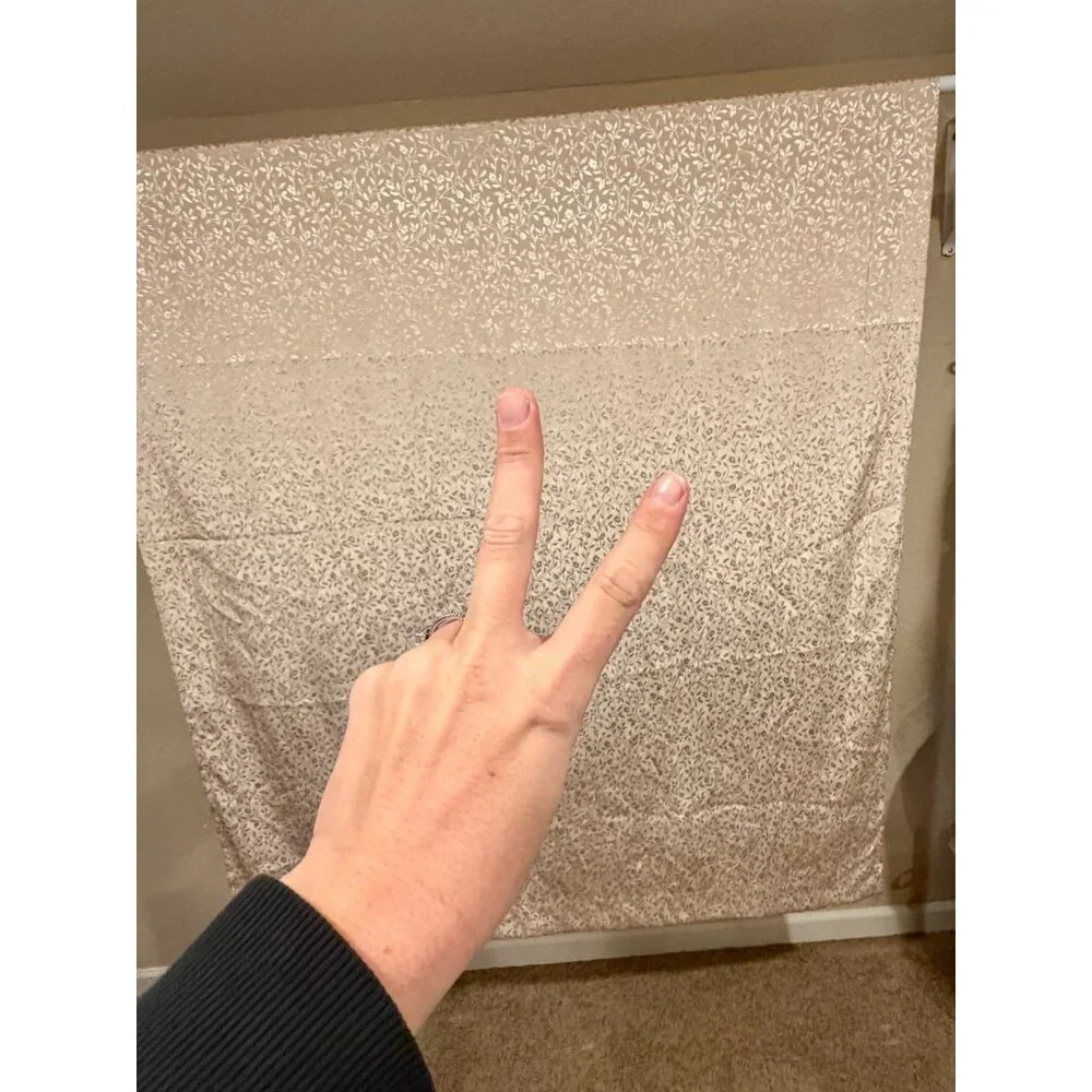 CROSCILL HOME Set 2 Curtain Panels Tan Jacquard Leaf‎ Vine Pattern Rod Pocket